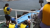 IMG_0748