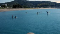 IMG_0963